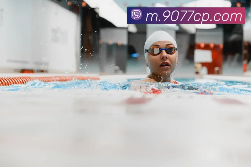 中彩网服务体系